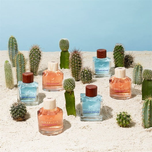 Hollister Canyon Escape EDT Men 100 ml