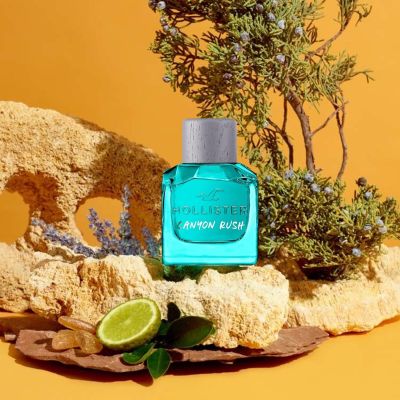 Hollister Canyon Rush EDT M 50 ml