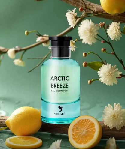Volare Arctic Breeze, Barbati, 100 ml, Eau de Parfum